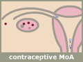 contraceptive MoA