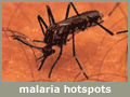 malaria hotspots
